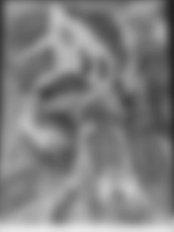 W.I.P Commision